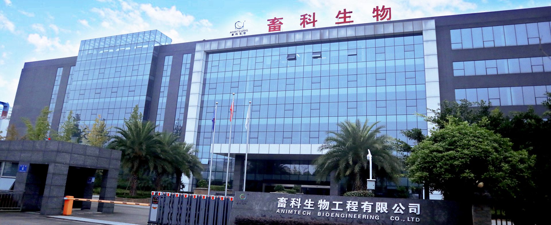 bob手机网页登录入口